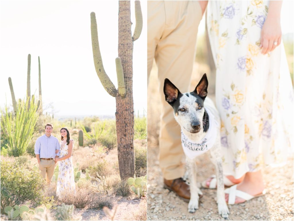 Engaged Couple in desert with dog in Tucson Mountain Park