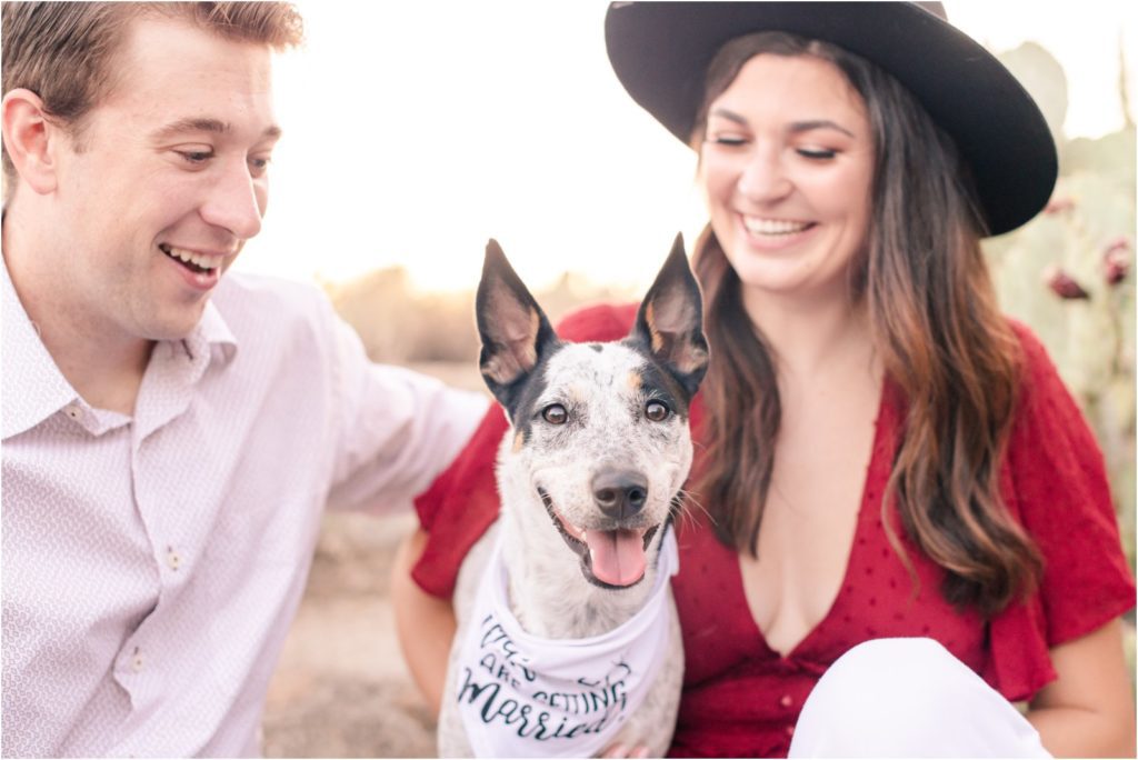 Engagement session with dog wearing bandanna for announcement