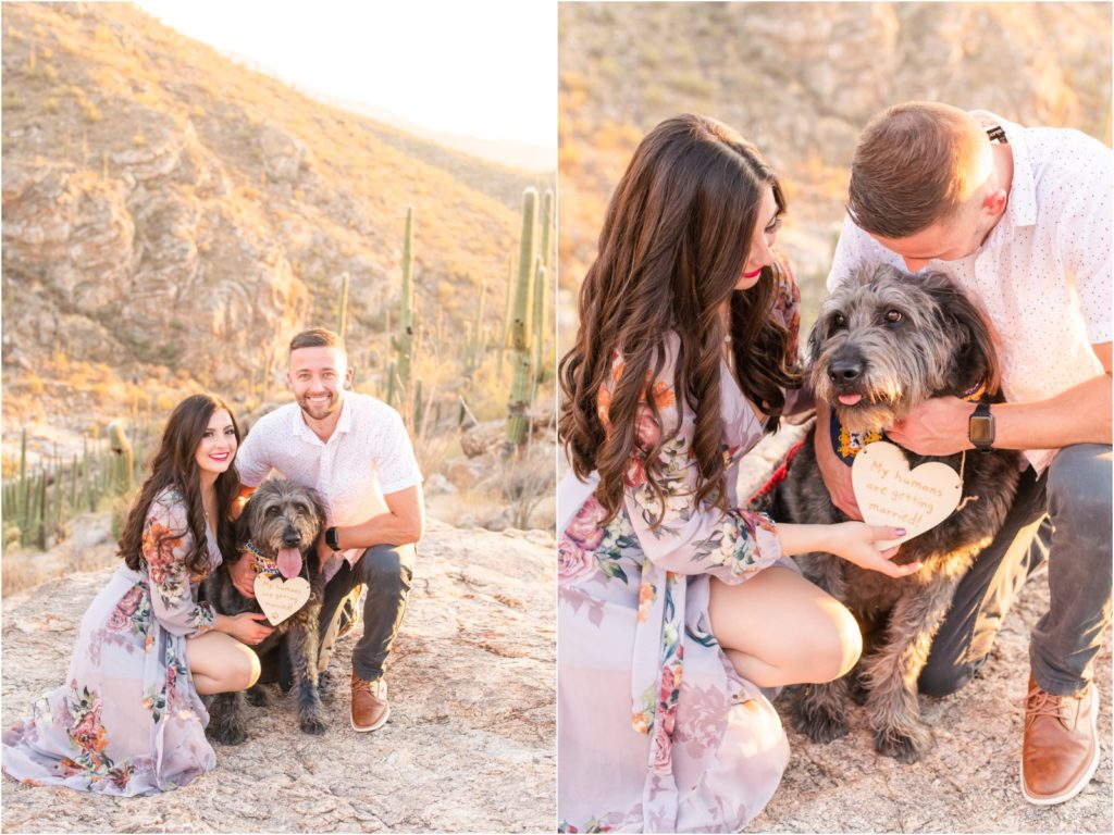 couple and their labradoodle on mountainside in Tucson desert