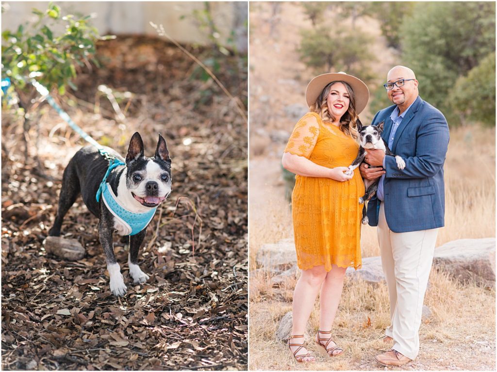 photos of couple in Carr Canyon with their dog