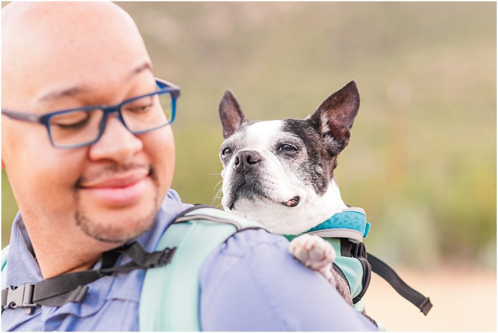 dog dad carrying small Boston terrier in doggie backpack carrier