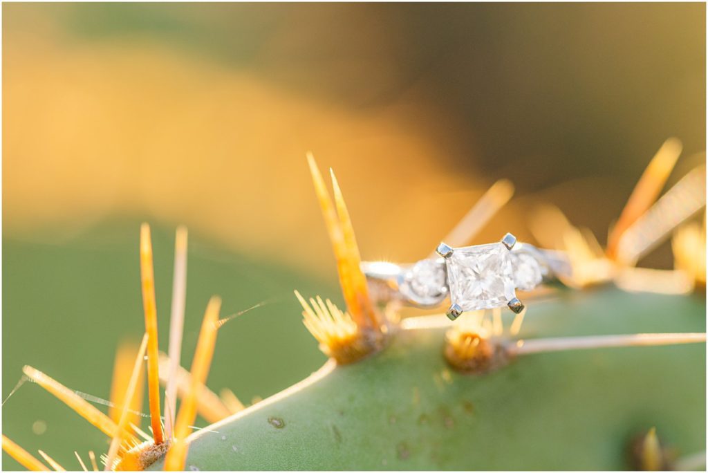 closeup photo of diamond engagement ring on prickly pear cactus