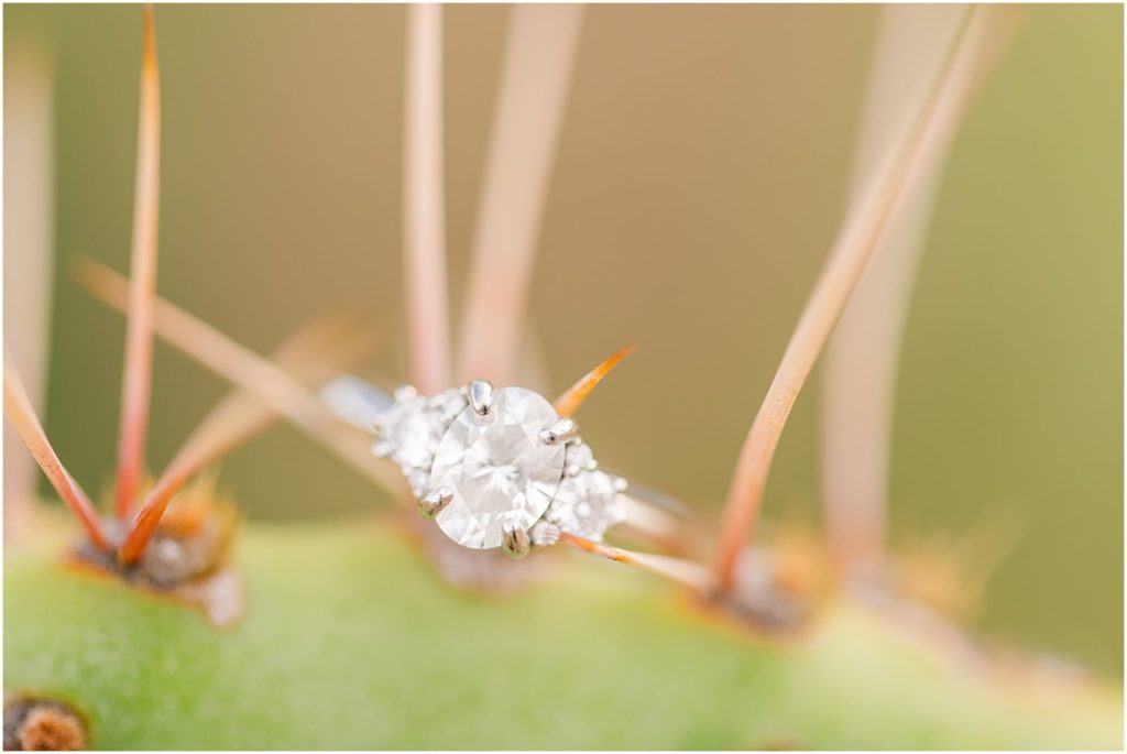 engagement ring with 3 stones on cactus