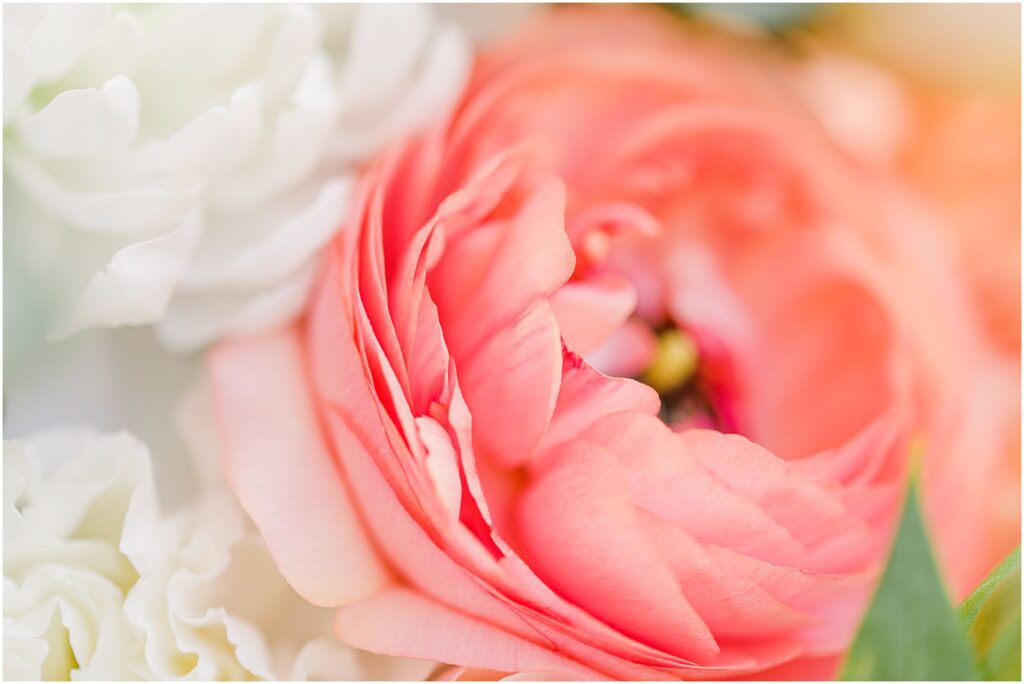 blush pink flower in bridal bouquet at spring wedding