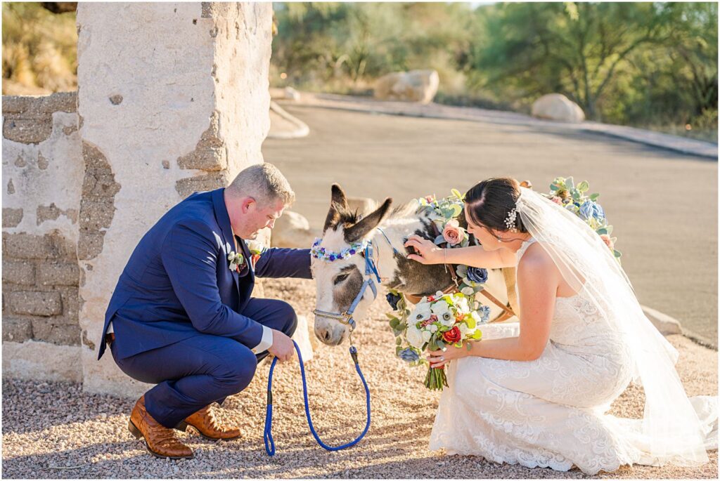 couple petting beer burro at wedding reception