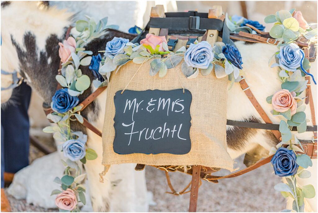 beer burro wearing custom sign with wedding couple's names